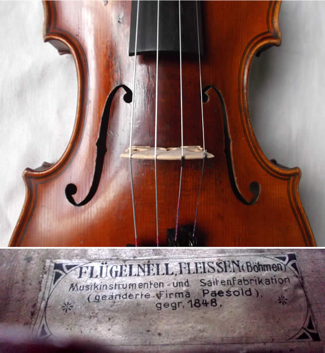 maggini violin
