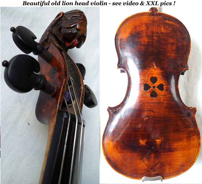german lionhead violin