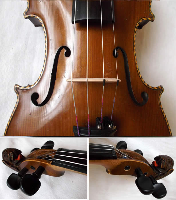 lionhead violin