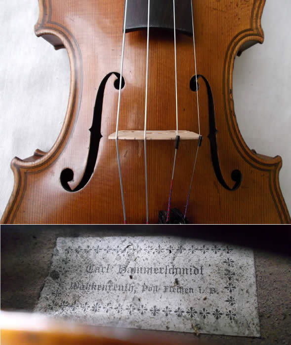 Maggini violin