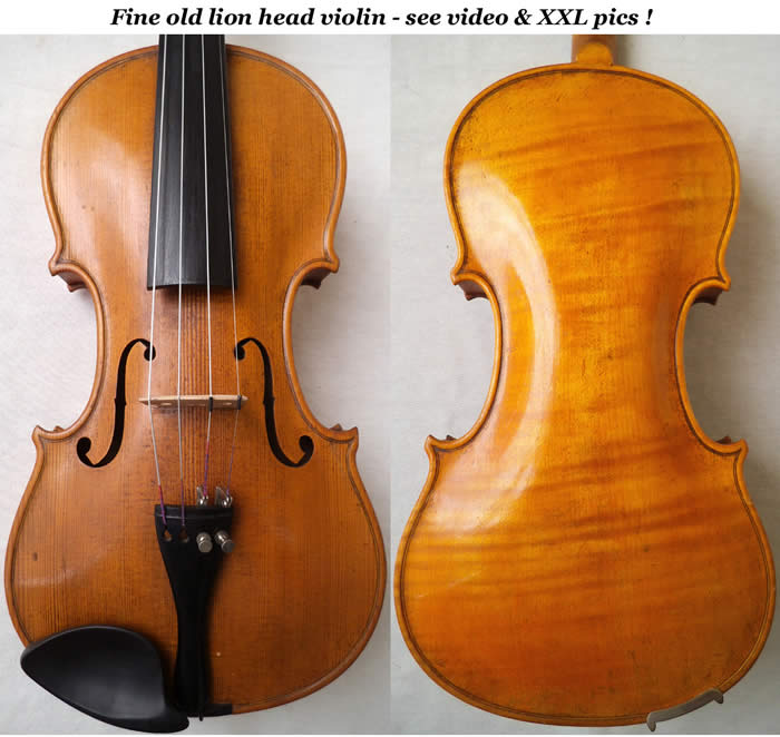 stainer lionhead violin